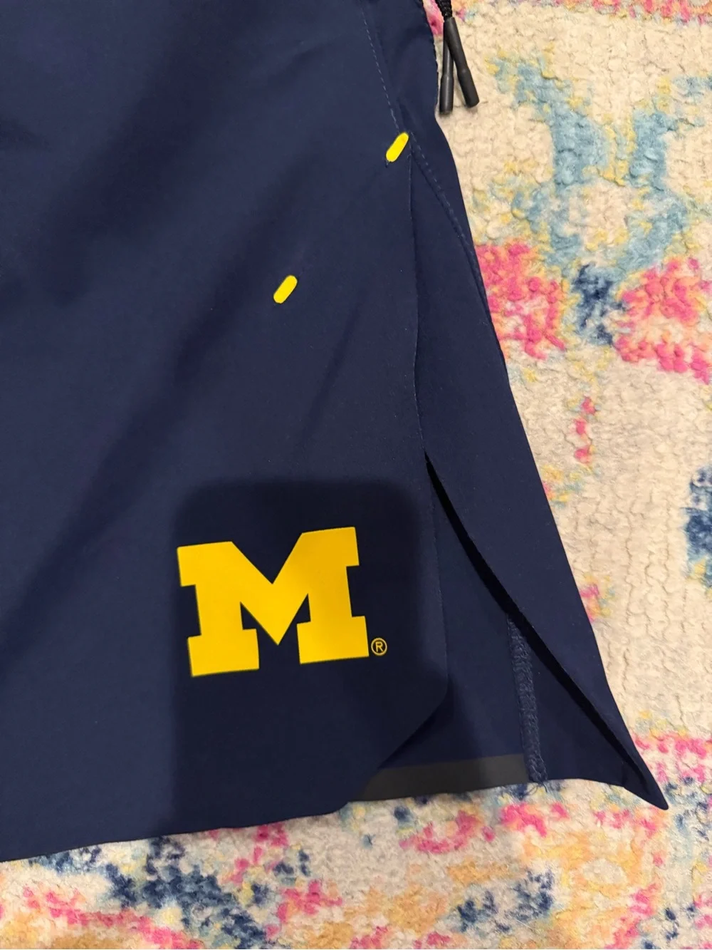 Jordan Men's Michigan Shorts